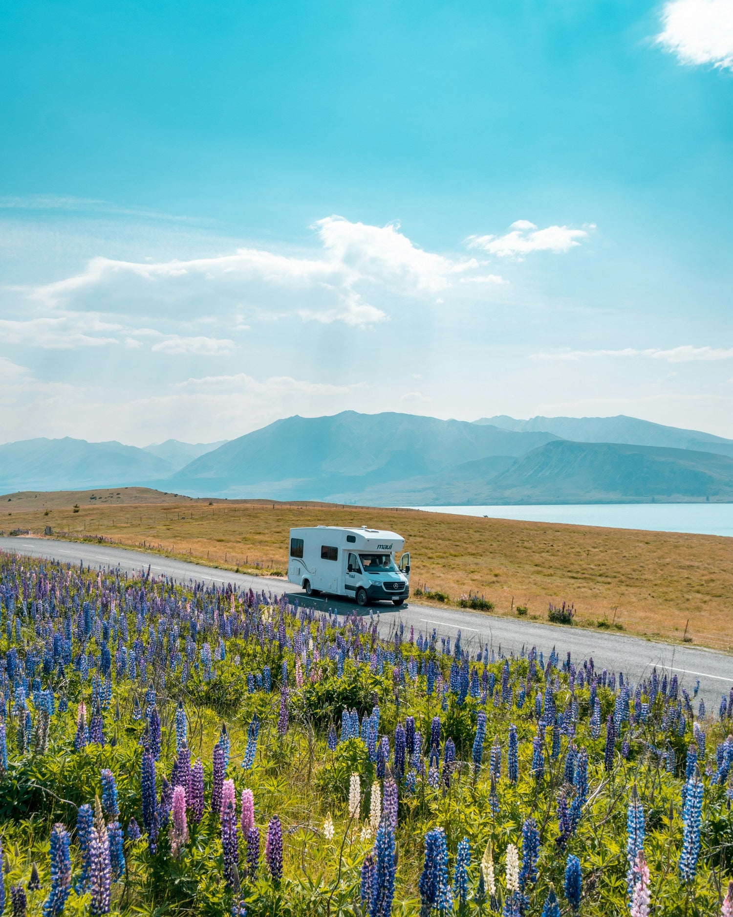 Photo by @sebastiengoldberg on Unsplash